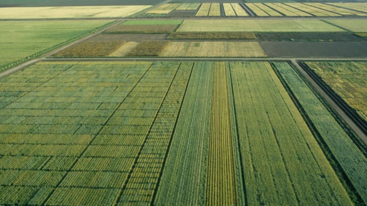 Convocatoria de ayudas para proyectos de innovación agrícola